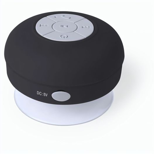 Produktabbildung Lautsprecher Rariax Lautsprecher Rariax (Bild 1)