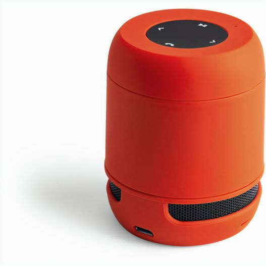 Produktabbildung Lautsprecher Braiss Lautsprecher Braiss (Bild 1)