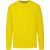 Kinder Sweatshirt Classic Set-In Sweat