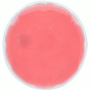 Taschenwärmer Kison