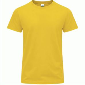 Erwachsene Farbe T-Shirt Perkins