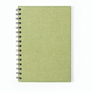 Notizbuch Idina