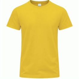 Erwachsene Farbe T-Shirt Perkins
