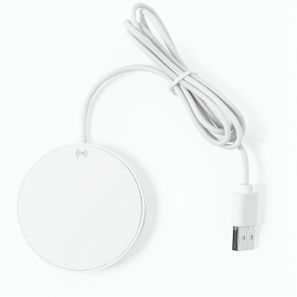 Ladegerät Dixlem RCS