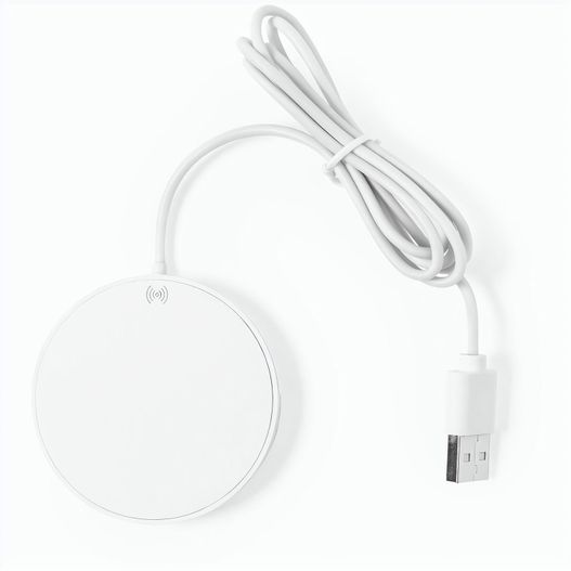 Produktabbildung Ladegerät Dixlem RCS Ladegerät Dixlem RCS (Bild 1)