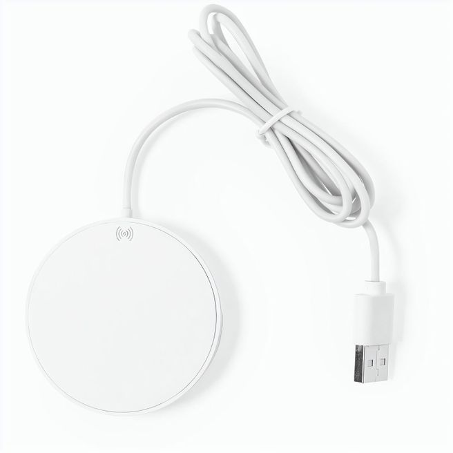 Ladegerät Dixlem RCS