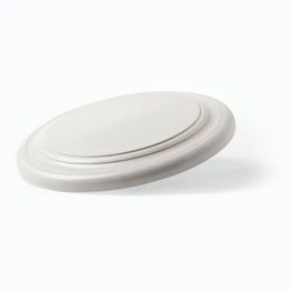 Frisbie Ditul