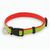 Hundehalsband Muttley (Bild 1)