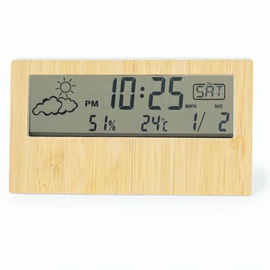 Wetterstation Roamer