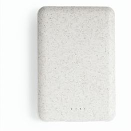Power Bank Shiden