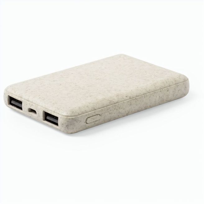 Power Bank Shiden