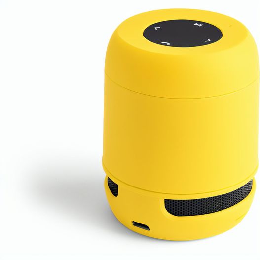 Produktabbildung Lautsprecher Braiss Lautsprecher Braiss (Bild 1)