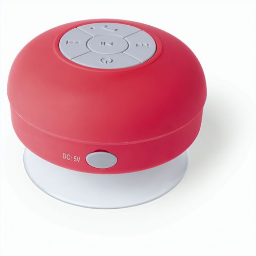 Produktabbildung Lautsprecher Rariax Lautsprecher Rariax (Bild 1)