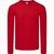 Erwachsene Farbe T-Shirt Iconic Long Sleeve T