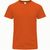Erwachsene Farbe T-Shirt Perkins