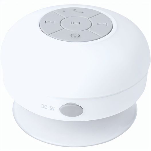 Produktabbildung Lautsprecher Rariax Lautsprecher Rariax (Bild 1)