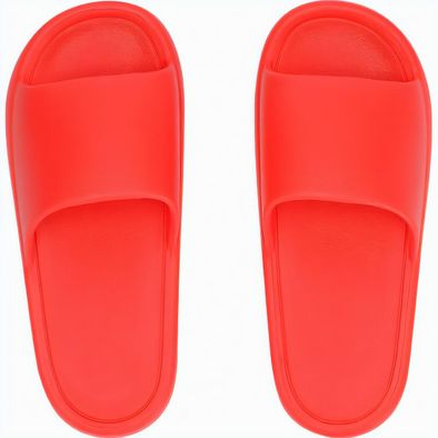 Flip Flop Ridel