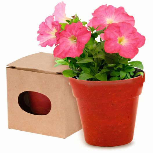 Blumentopf Advert (Bild 1)