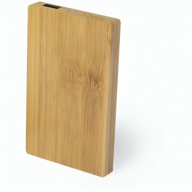Power Bank Nipax