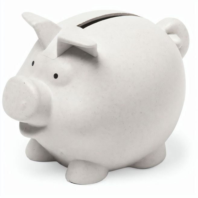 Sparschwein Darfil