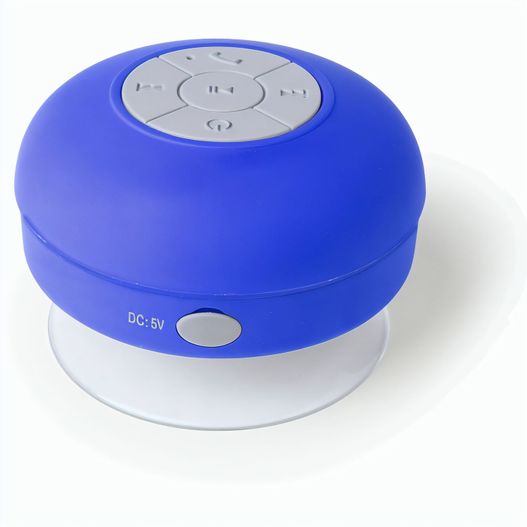 Produktabbildung Lautsprecher Rariax Lautsprecher Rariax (Bild 1)