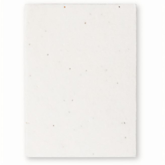 Samen Notizblock Zomek