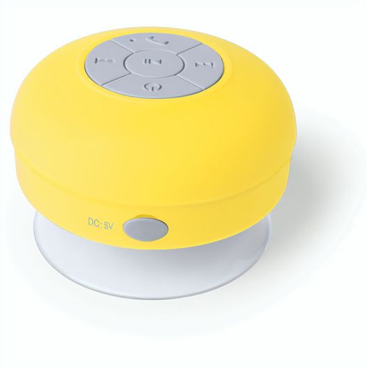 Produktabbildung Lautsprecher Rariax Lautsprecher Rariax (Bild 1)