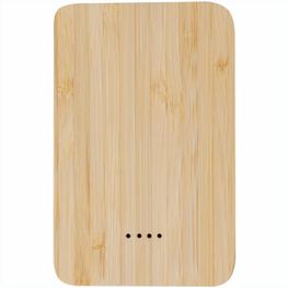 Power Bank Newin