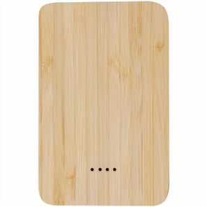 Power Bank Newin