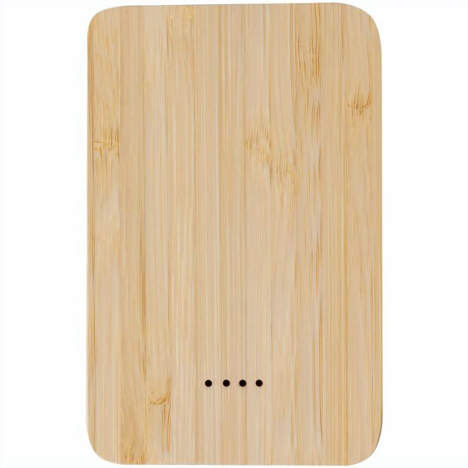 Power Bank Newin