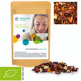 Bio Früchtetee gute Laune, ca. 17g, Standbeutel Mini