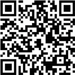 Helles Bier - feinherb und leicht malzig - Papier-Etikett, 250 ml