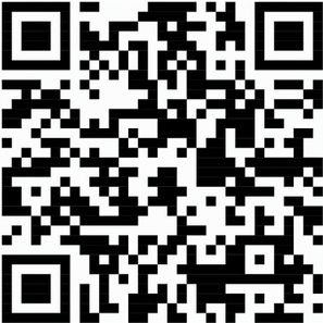 Helles Bier - feinherb und leicht malzig - Papier-Etikett, 250 ml