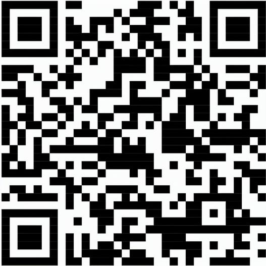 Sekt Cuvée - Flasche weiß-lackiert - Kapsel silber, 0,75 l (Bild 1)