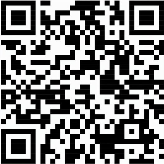 Sekt Cuvée - Flasche schwarz - Kapselfarbe Silber, 0,75 l (Bild 1)