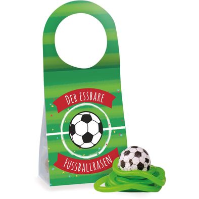 Türanhänger Fußballrasen