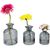 3er Vasen-Set // Flora (Bild 4)