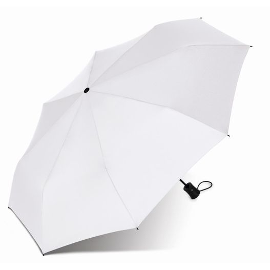 Produktabbildung Taschenschirm Mini AC Taschenschirm Mini AC (Bild 1)