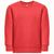 THC DELTA KIDS. Kindersweatshirt aus recycelter Baumwolle und Polyester (Bild 1)
