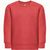 THC DELTA KIDS. Kindersweatshirt aus recycelter Baumwolle und Polyester (Bild 3)