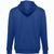 THC AMSTERDAM. Sweatshirt für Männer aus Baumwolle und Polyester (Bild 2)