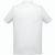 THC BERLIN WH 3XL. Herren Poloshirt (Bild 3)