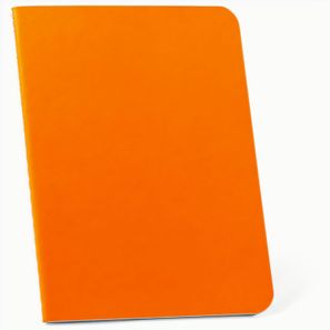 RAYSSE. B7-Notizbuch mit linierten Blättern
