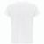 THC MOVE WH. T-Shirt (150g/m²) (Bild 1)