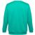 THC DELTA. Sweatshirt (unisex) aus Baumwolle und Polyester (Bild 2)