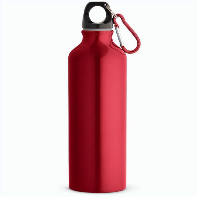 Produktabbildung RE-LANDSCAPE M. Flasche aus recyceltem Aluminium 530 mL mit Karabiner RE-LANDSCAPE M. Flasche aus recyceltem Aluminium 530 mL mit Karabiner