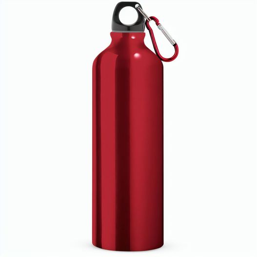 Produktabbildung LANDSCAPE L. Aluminium-Sportflasche mit Karabiner 800 ml LANDSCAPE L. Aluminium-Sportflasche mit Karabiner 800 ml (Bild 1)
