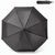 GUSTAVO. Recyceltem Polyester (100% rPET) 190T Pongee-Schirm mit automatischer Öffnung und Schließung (Bild 2)