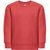 THC DELTA KIDS. Kindersweatshirt aus recycelter Baumwolle und Polyester (Bild 2)