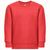 THC DELTA KIDS. Kindersweatshirt aus recycelter Baumwolle und Polyester (Bild 1)